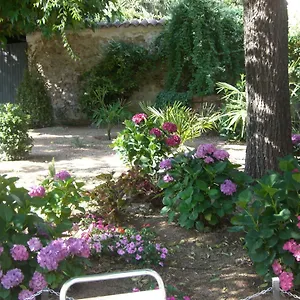 Torres Arbúcies